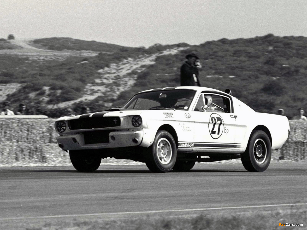 Shelby GT350R 1965 images (1280 x 960)
