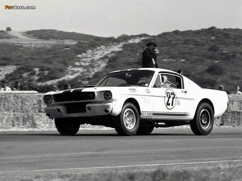 Shelby GT350R 1965 images (800 x 600)