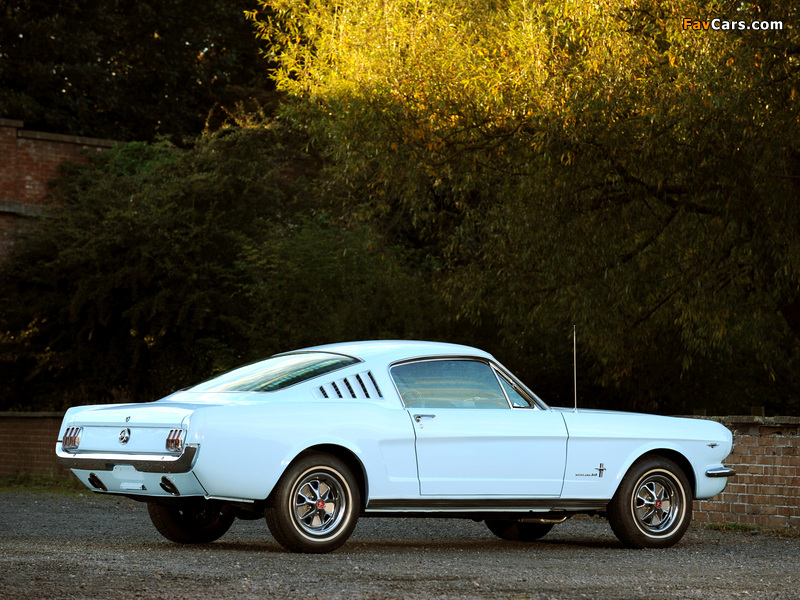 Mustang Fastback 1965 images (800 x 600)