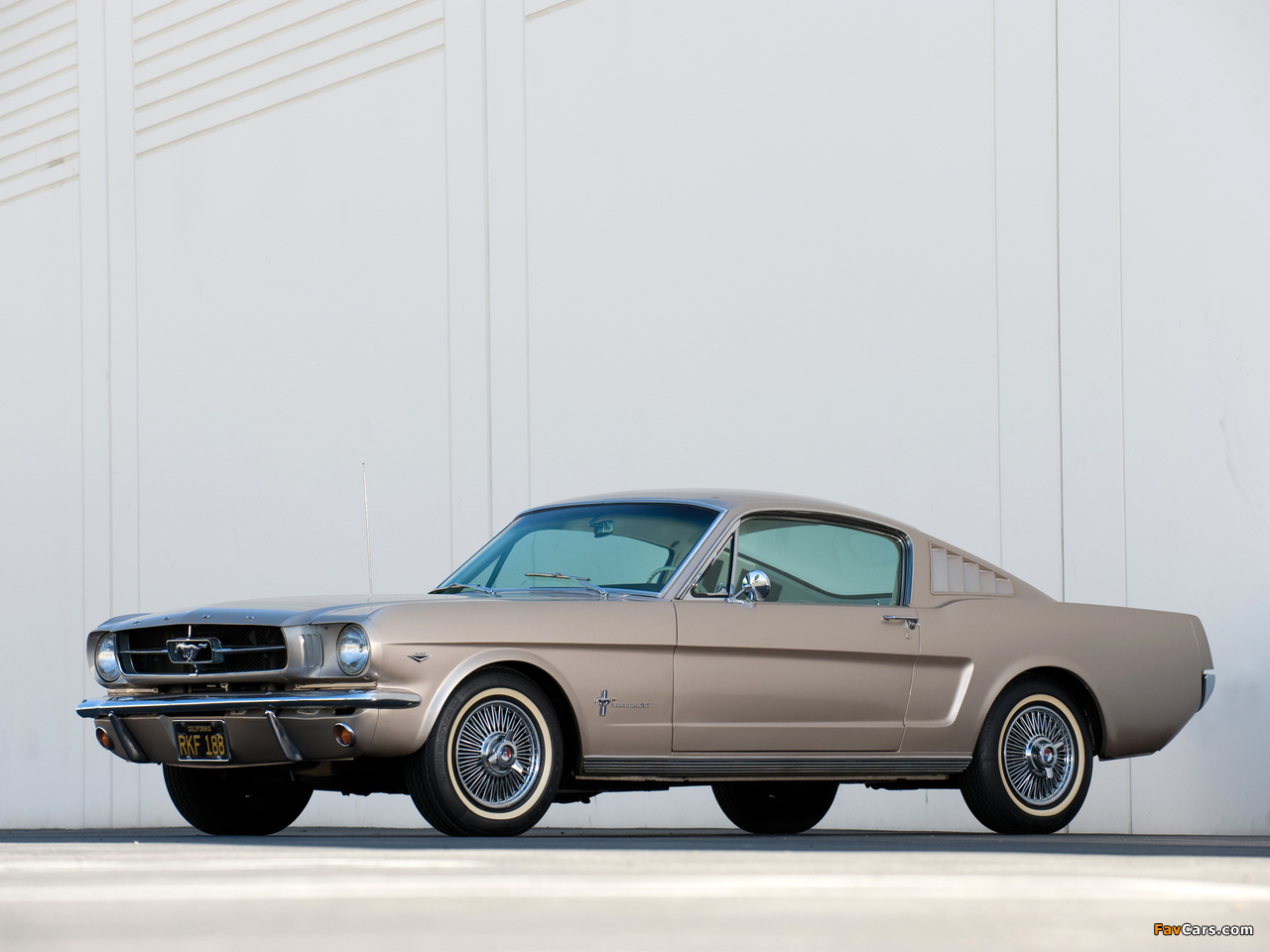 Mustang Fastback 1965 images (1280 x 960)