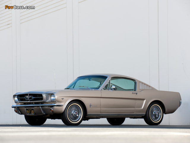 Mustang Fastback 1965 images (640 x 480)