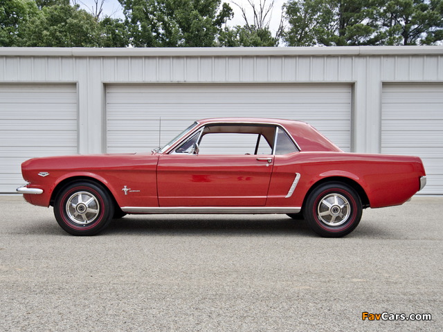 Mustang Coupe 1965 images (640 x 480)