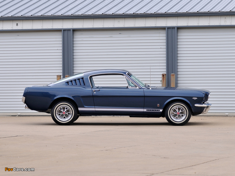 Mustang GT Fastback 1965 photos (800 x 600)