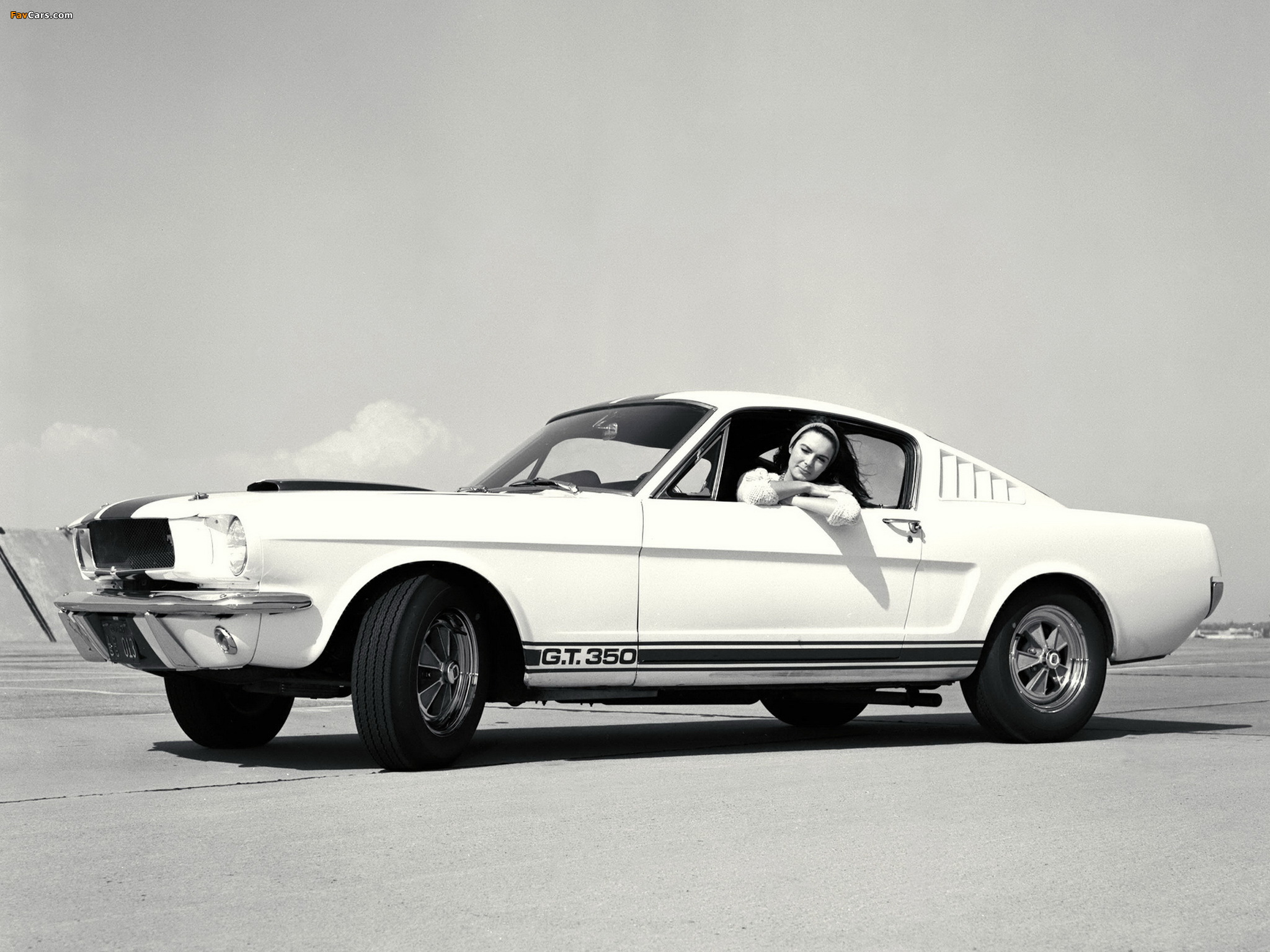 Shelby GT350 1965 photos (2048 x 1536)