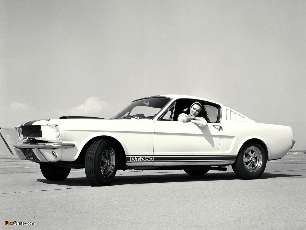 Shelby GT350 1965 photos (1024 x 768)