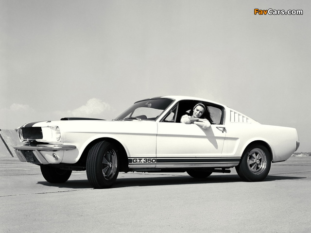 Shelby GT350 1965 photos (640 x 480)