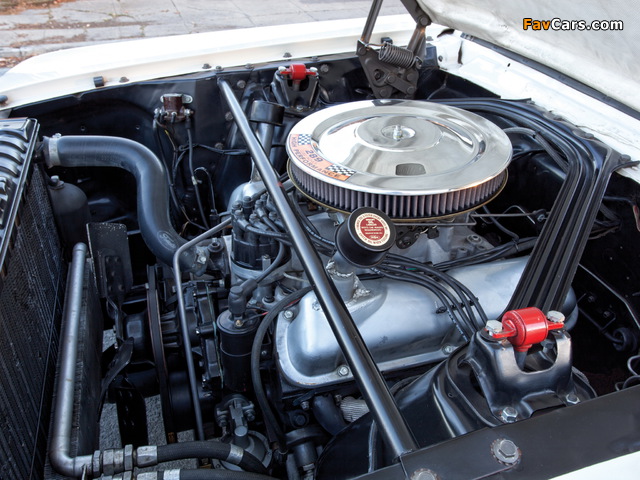 Shelby GT350R 1965 photos (640 x 480)