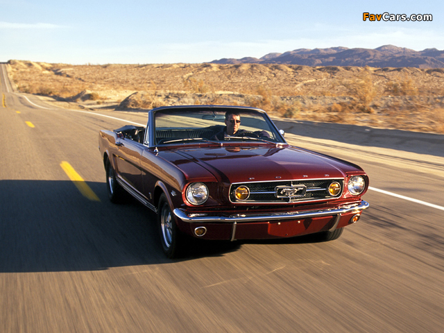 Mustang GT Convertible 1965 photos (640 x 480)