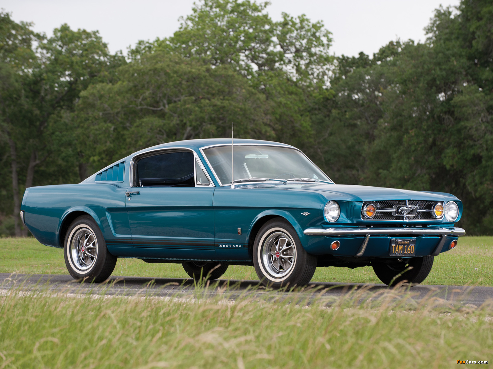 Mustang GT Fastback 1965 photos (1600 x 1200)