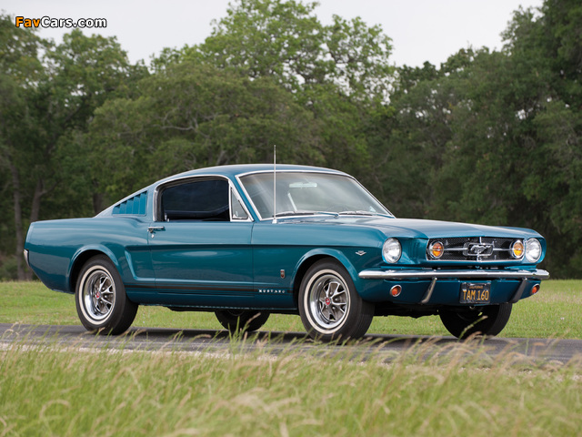 Mustang GT Fastback 1965 photos (640 x 480)