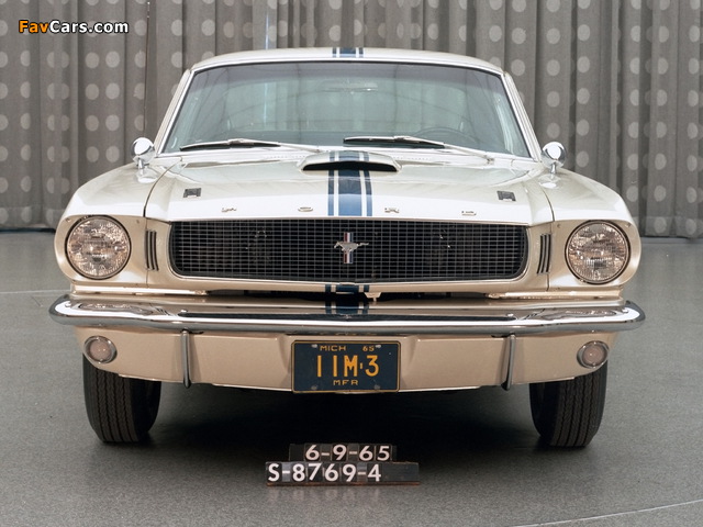 Mustang GT Fastback EBF II 1965 pictures (640 x 480)