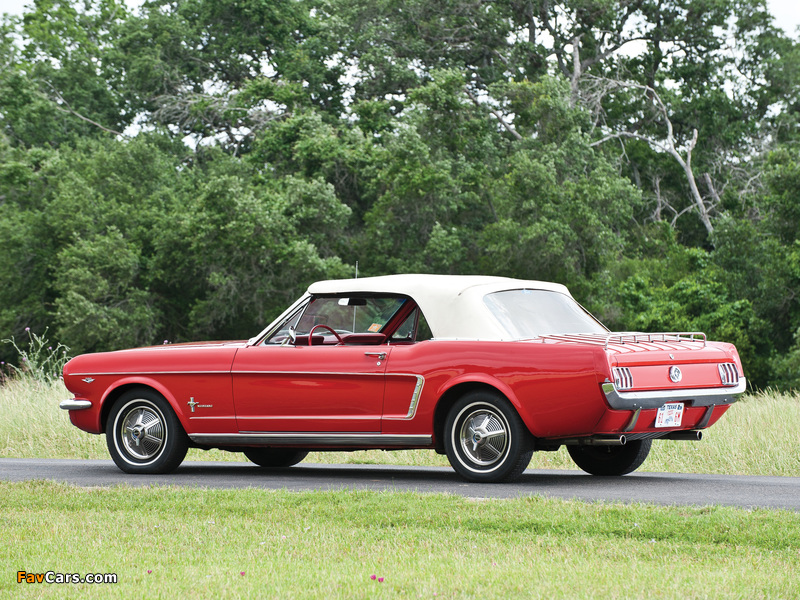 Mustang Convertible 1965 pictures (800 x 600)