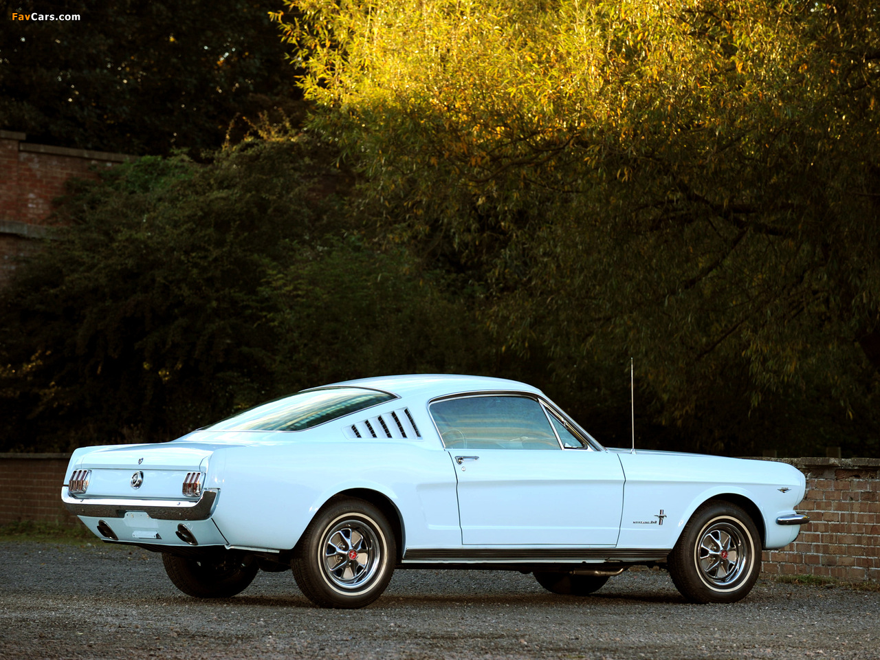 Mustang Fastback 1965 pictures (1280 x 960)