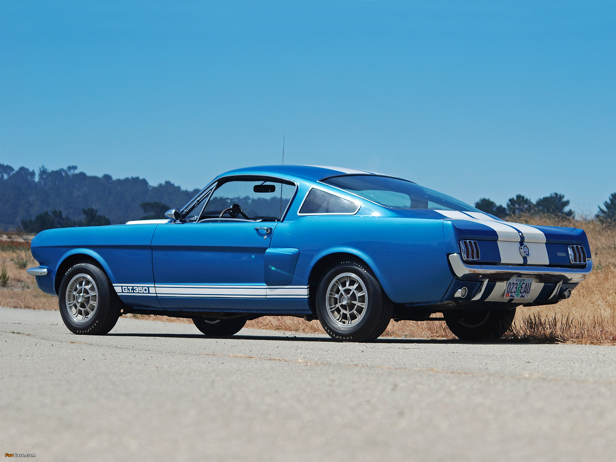 Shelby GT350 1965 pictures (2048 x 1536)
