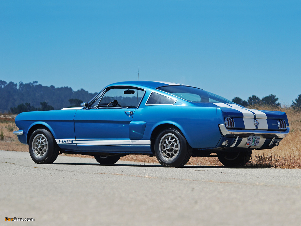 Shelby GT350 1965 pictures (1024 x 768)
