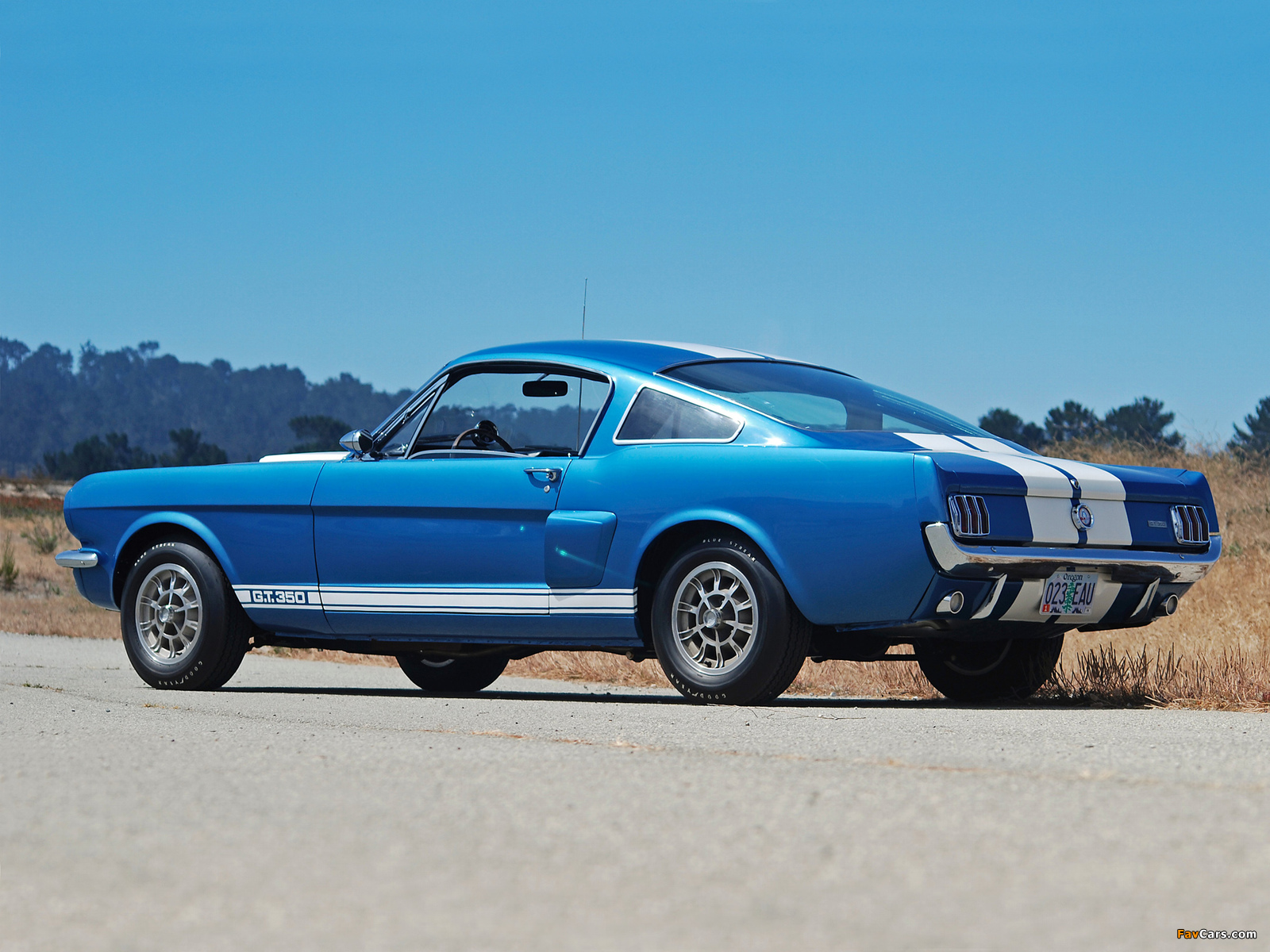 Shelby GT350 1965 pictures (1600 x 1200)