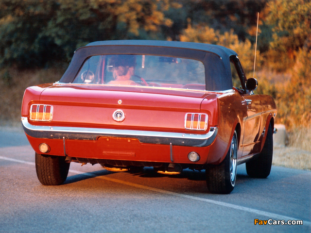 Mustang Convertible 1965 pictures (640 x 480)