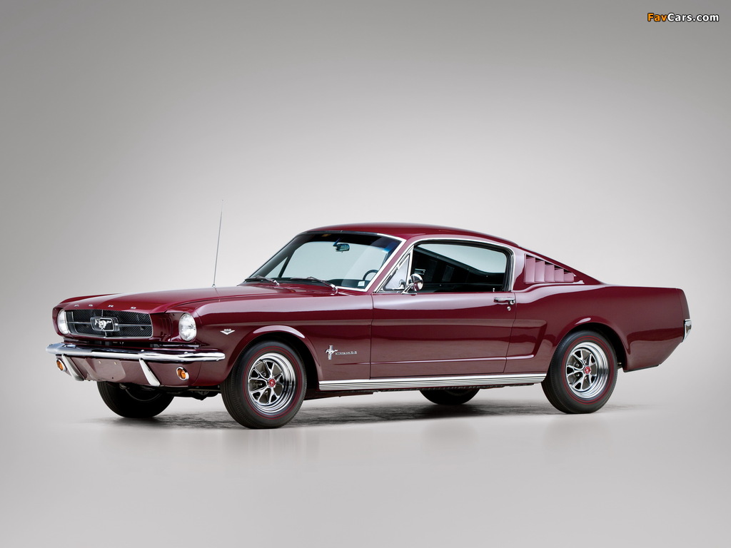 Mustang Fastback 1965 pictures (1024 x 768)