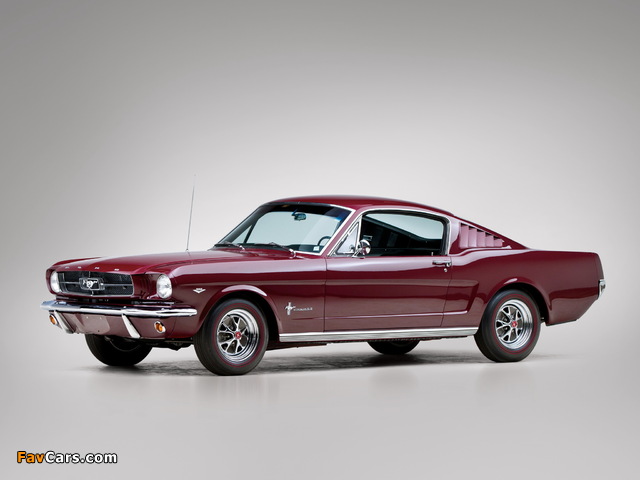 Mustang Fastback 1965 pictures (640 x 480)