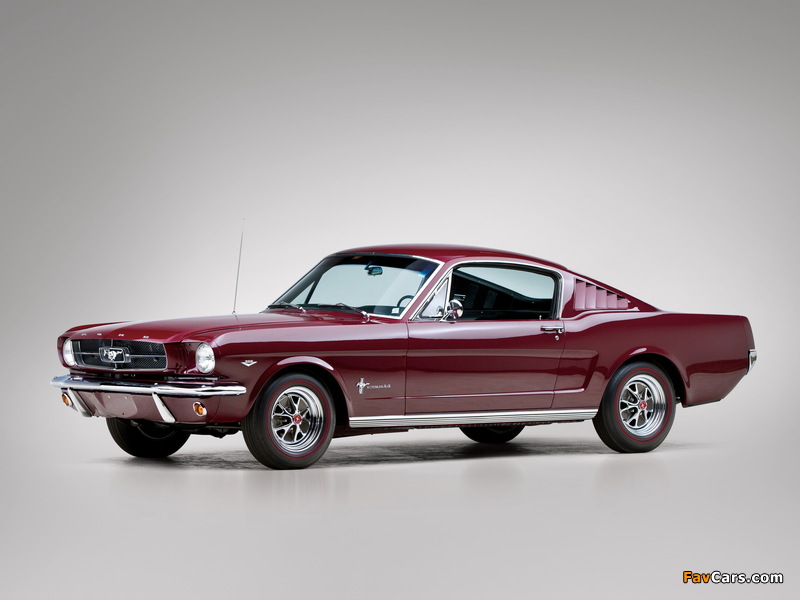 Mustang Fastback 1965 pictures (800 x 600)