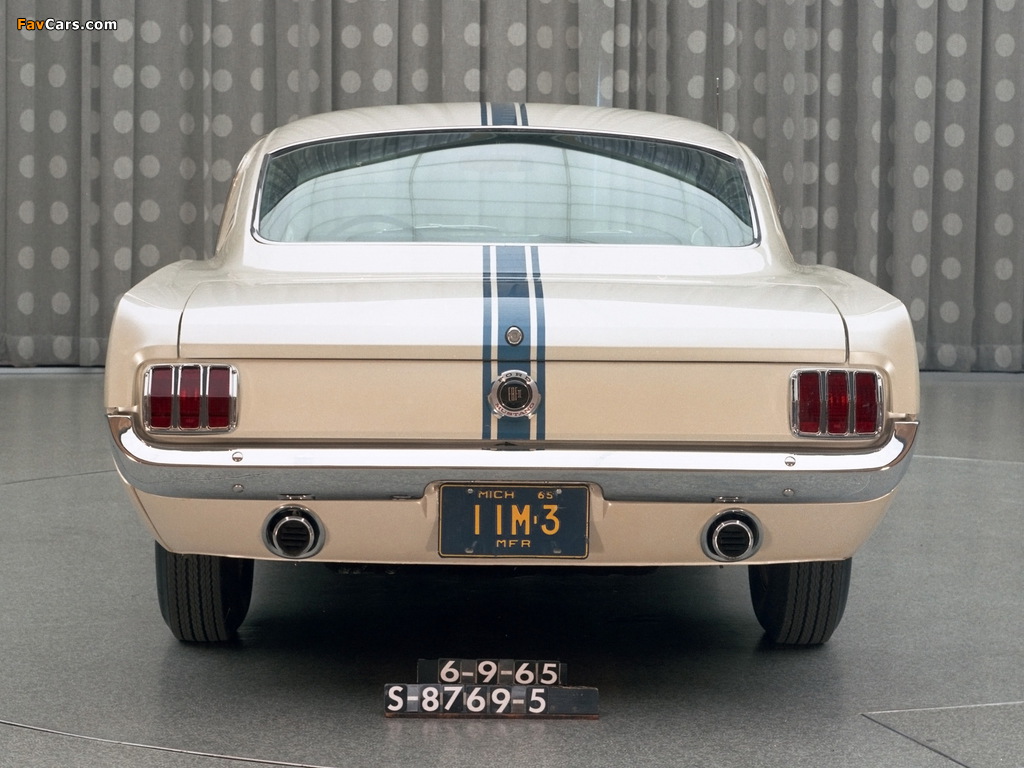 Mustang GT Fastback EBF II 1965 wallpapers (1024 x 768)