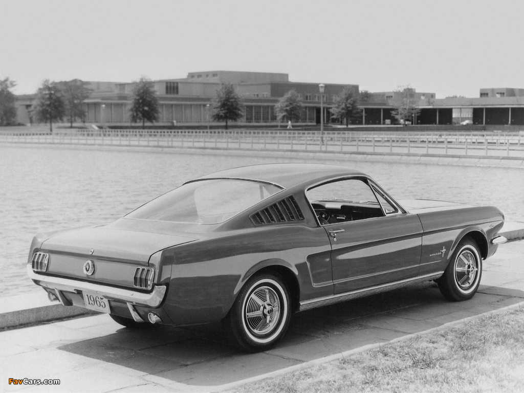 Mustang Fastback 1965 wallpapers (1024 x 768)