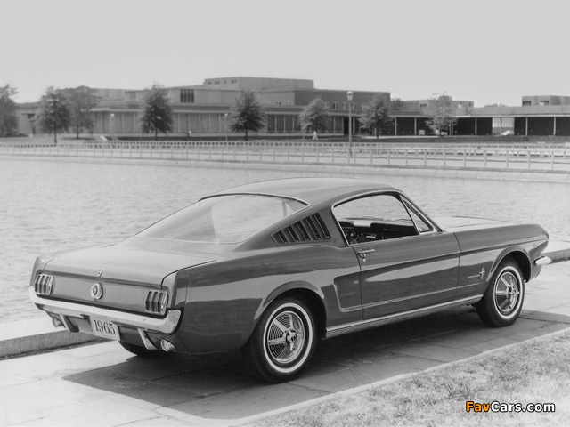 Mustang Fastback 1965 wallpapers (640 x 480)