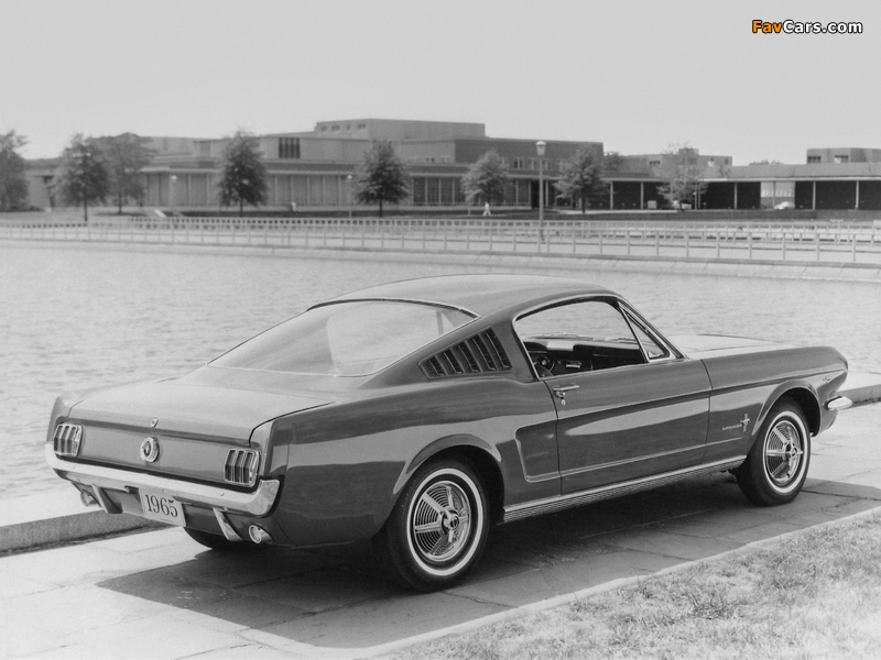 Mustang Fastback 1965 wallpapers (800 x 600)