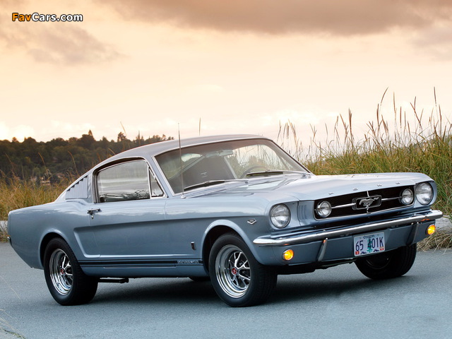 Mustang GT Fastback 1965 wallpapers (640 x 480)