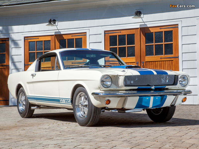 Shelby GT350 1965 wallpapers (800 x 600)