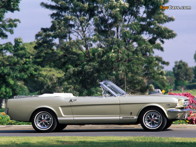 Mustang GT Convertible 1965 wallpapers (640 x 480)