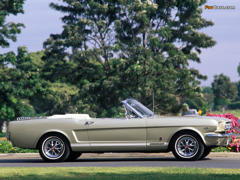 Mustang GT Convertible 1965 wallpapers (800 x 600)