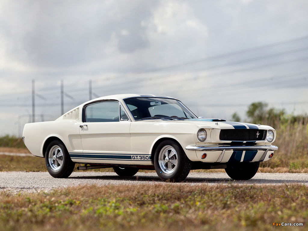 Shelby GT350 1965 wallpapers (1024 x 768)
