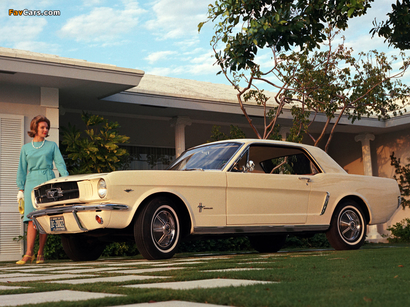 Mustang Coupe 1965 wallpapers (800 x 600)