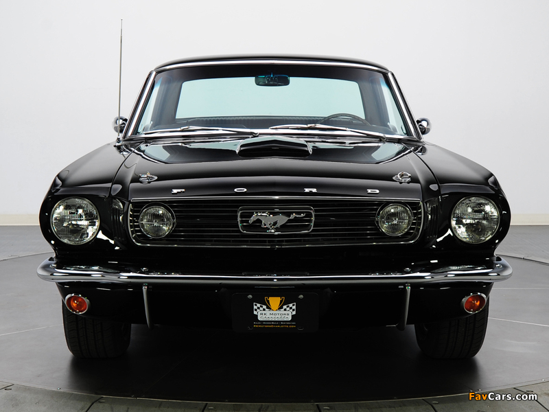 Mustang GT Hardtop 1966 images (800 x 600)
