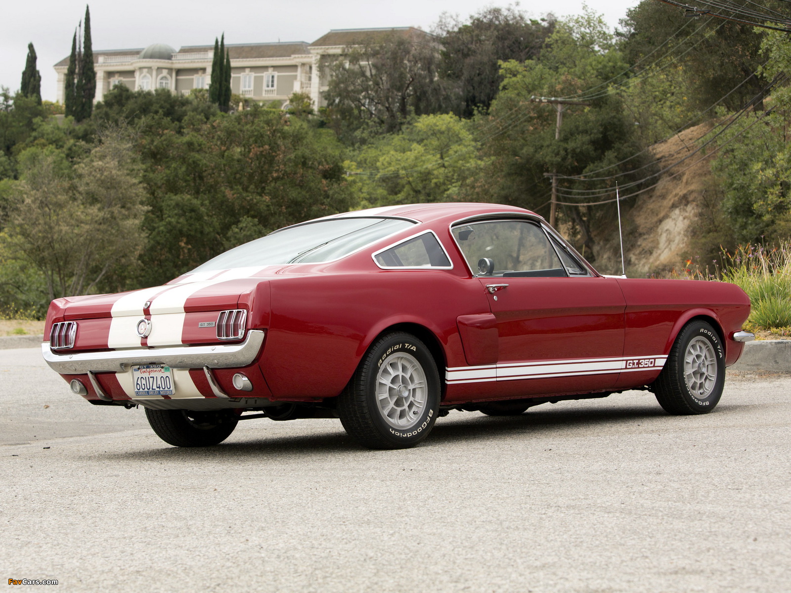 Shelby GT350 1966 images (1600 x 1200)