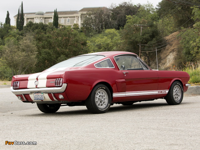 Shelby GT350 1966 images (640 x 480)