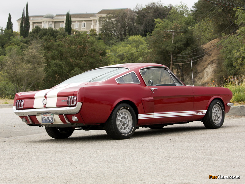 Shelby GT350 1966 images (800 x 600)