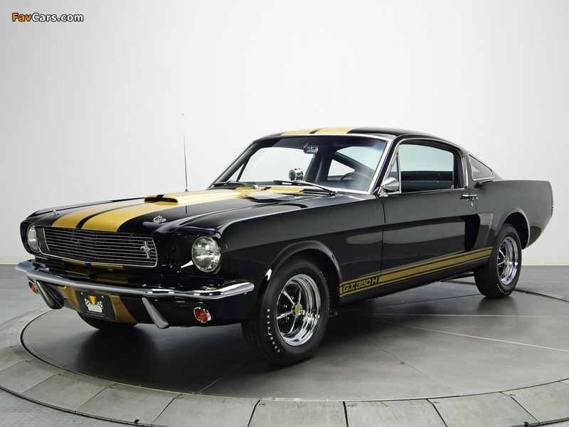 Shelby GT350H 1966 images (800 x 600)