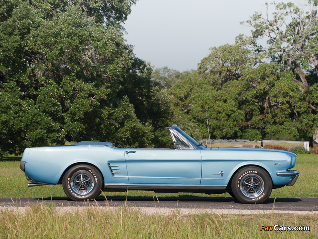 Mustang Convertible 1966 images (640 x 480)