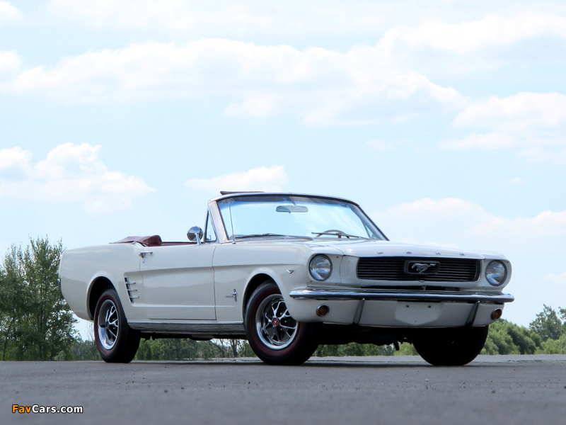 Mustang Convertible 1966 images (800 x 600)
