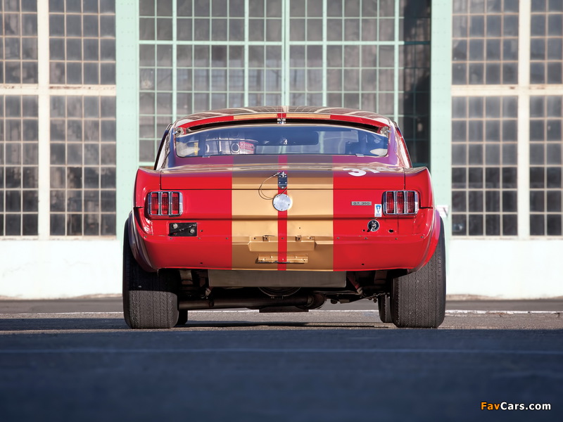 Shelby GT350H SCCA B-Production Race Car 1966 images (800 x 600)