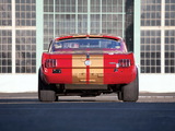 Shelby GT350H SCCA B-Production Race Car 1966 images