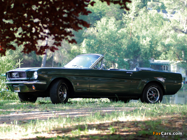 Mustang GT Convertible 1966 photos (640 x 480)