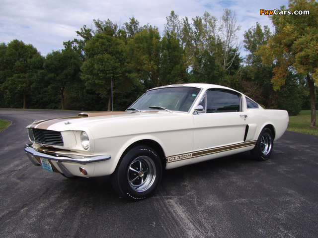 Shelby GT350H 1966 pictures (640 x 480)