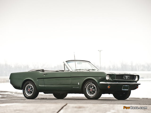 Mustang GT Convertible 1966 pictures (640 x 480)