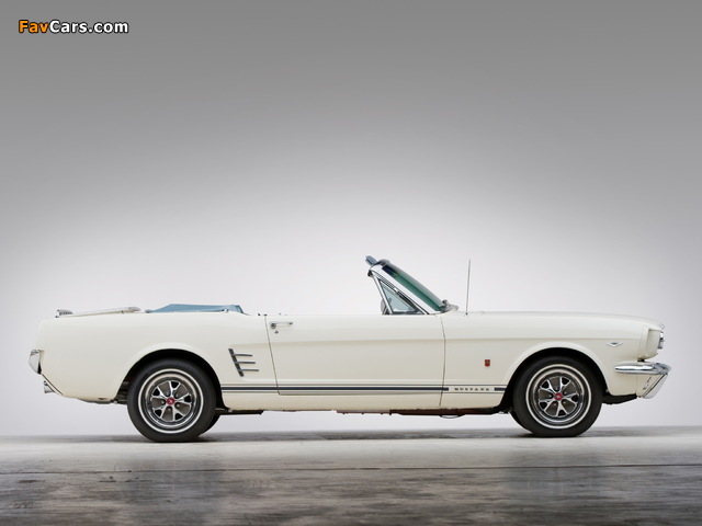 Mustang GT Convertible 1966 pictures (640 x 480)