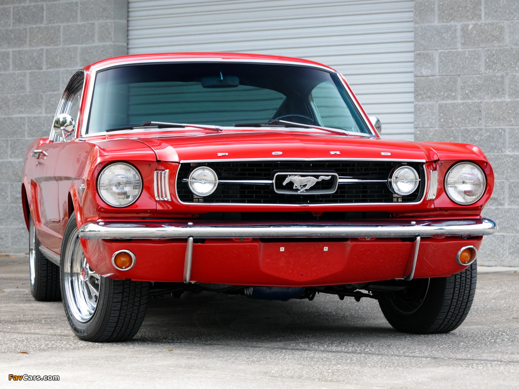 Mustang Fastback 1966 pictures (1024 x 768)