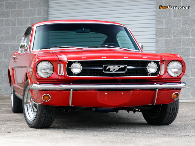 Mustang Fastback 1966 pictures (640 x 480)