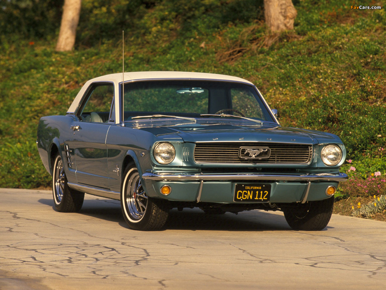 Mustang Hardtop 1966 pictures (1280 x 960)